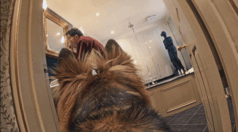 Blondi_still3 - Jack Salvadori