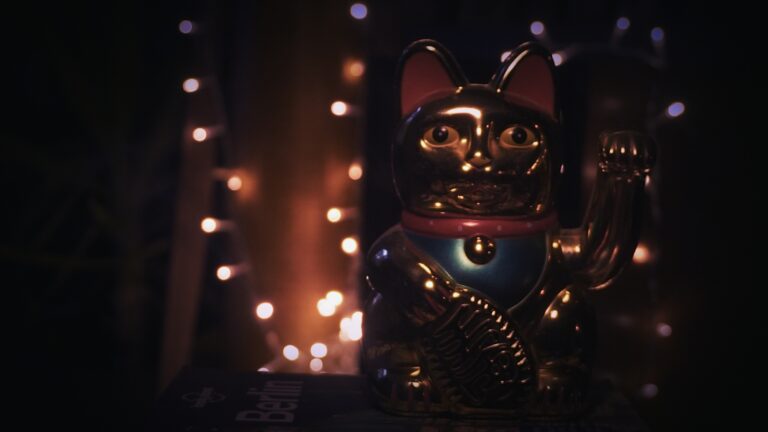 cat_1.1.1 - Sarah Morgan